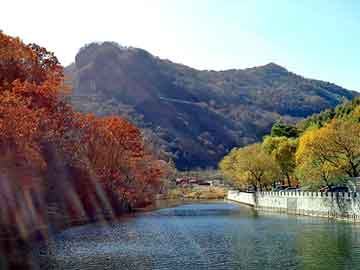 新澳门二四六天天开奖，本田飞度论坛